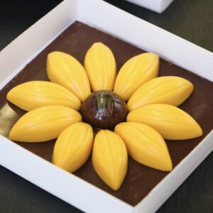 Chocokoo šokolaadikarp Päevalill